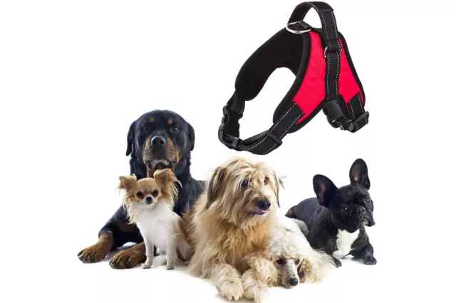 Pettorina imbracatura per cane a maglia aperta taglia L large 62-77cm 21-35kg