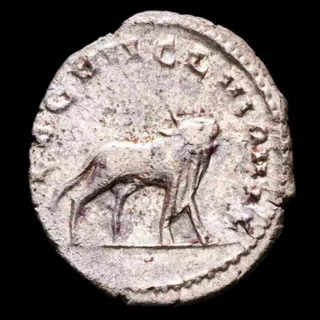 *Lucernae* Gallienus Antoninianus LEG VII CL VI P VI F - Toro Mediolanum 261 2