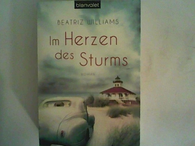 Im Herzen des Sturms: Roman (Die East-Coast-Reihe, Band 1) Williams, Beatriz: