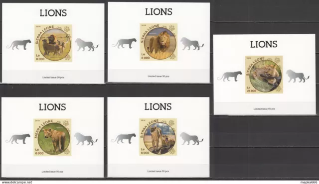 Lx497 Imperf 2016 Sierra Leone Animals Wild Cats Lions Uv Cardboard 5Bl Mnh