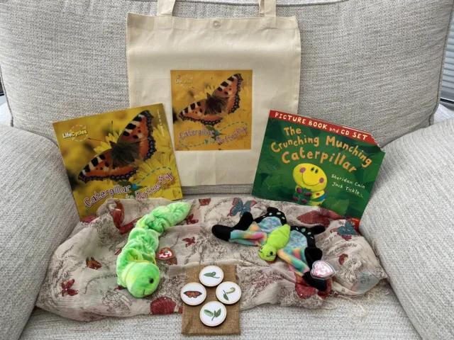 Caterpillar To Butterfly Life Cycle Spring Story Sack Teacher Resource EYFS KS1