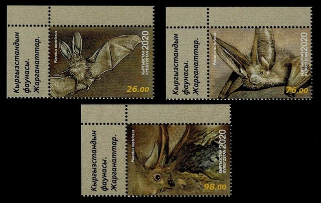 Kirgisistan 2020 ** MiNr 1003-1005 linker oberer Eckrand  Fledermäuse Fledermaus