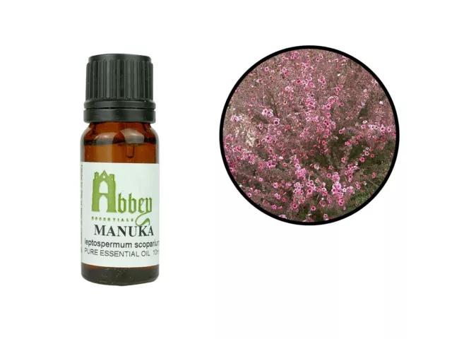 Essential Oil Manuka 100% Pure Aromatherapy Oil