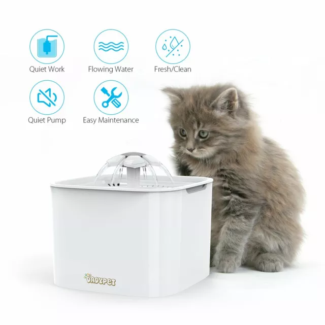 Distributeur à eau Fontaine à Fleur pour Chat,Chien avec Filtre, 2L, Électrique