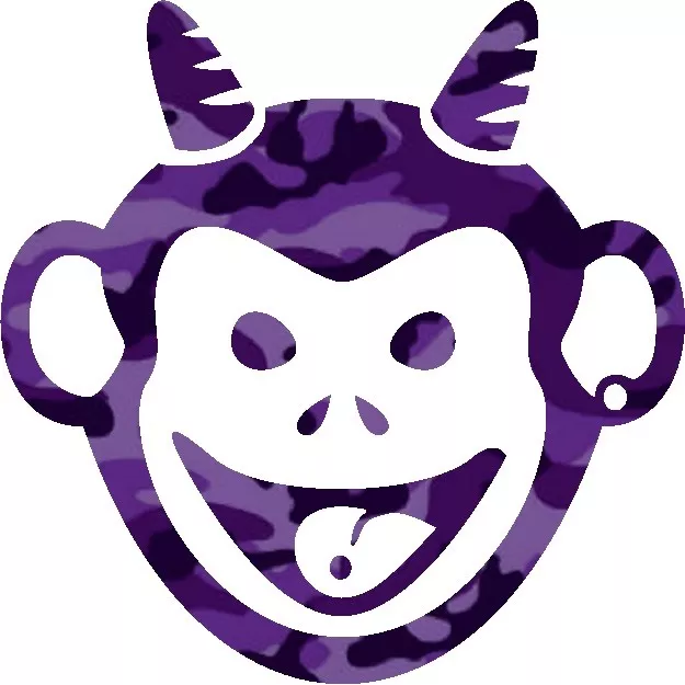 30 Custom Purple Camo Crazy Monkey Personalized Address Labels