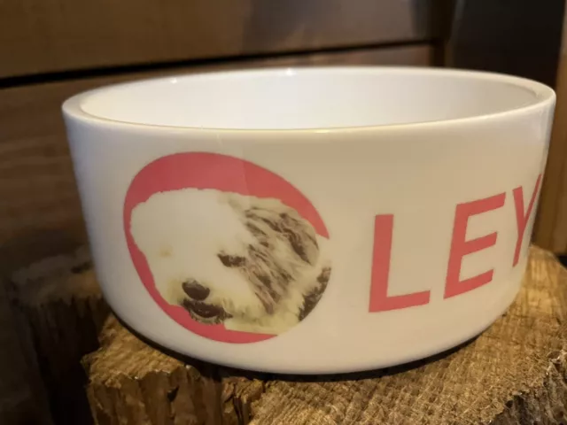 personalised dog bowl with dogs name and picture 2 sizes available Puppy Pet