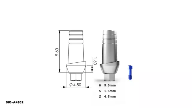 Straight Anatomic Abutment - Internal Hex system 10 Pack