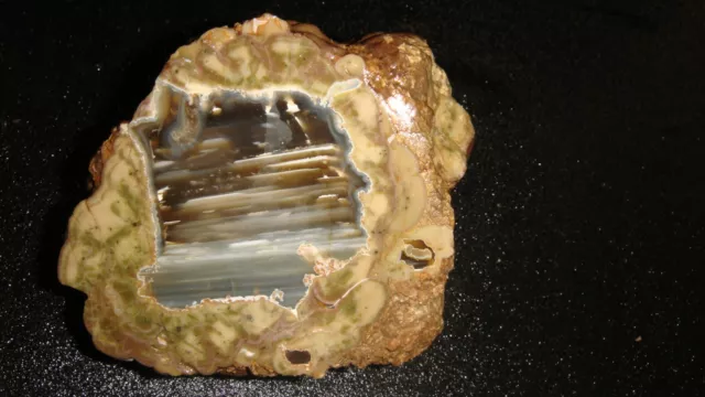 Old White Fir Springs Agate Bed Face Polished Thunder Egg  1  1/4 +  Pounds
