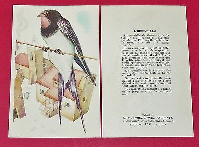 1955-1960 CHROMO GRANDE IMAGE ECOLE BON-POINT OISEAUX ROSSIGNOL BIRDS 