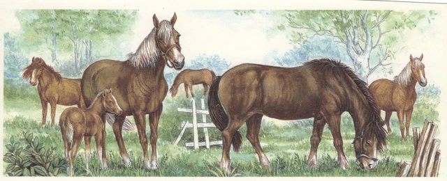 Calcomanía de cerámica tobogán de prado marrón caballo 1 pieza 8-1/4"" X 3-1/4"" tobogán acuático Bx