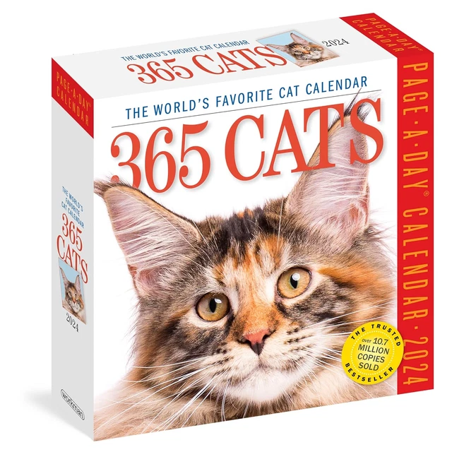 2025 CATS PAGEADAY Daily Calendar World's Favorite Cat Christmas Gift