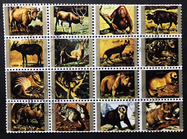Umm al Qiwain Fauna - Wildtiere Kleinbogen