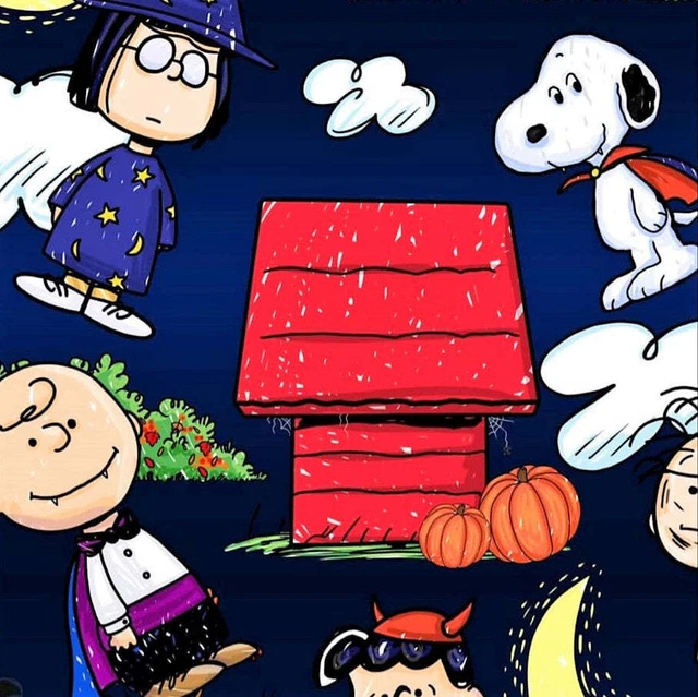 Hanna andersson peanuts halloween deals