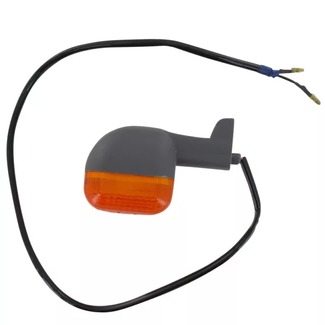 Blinker Signallicht hinten links PGO Dr. Big TR3 T-Rex 50 110 125 150