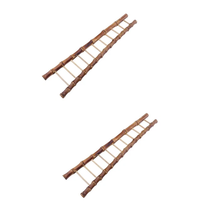 2 pz scala di bambù sashimi in miniatura piante d'appartamento decorazione