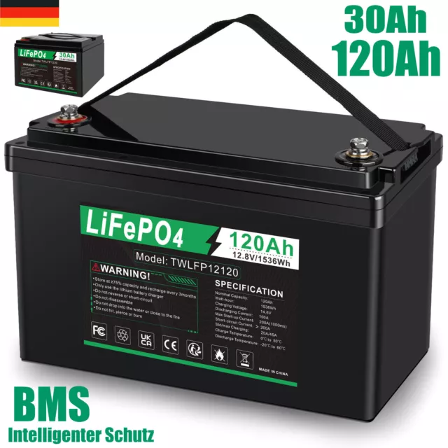 30Ah 120Ah 12V Lithium Batterie LiFePO4 Akku BMS Solarbatterie Solaranlage Boot