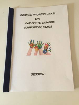 Rapport De Stage Cap Petite Enfance À VENDRE!  PicClick FR