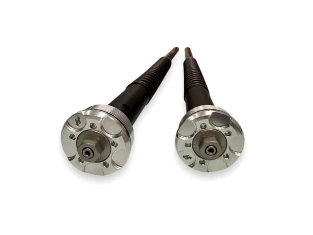COPPIA STRISCE ACCENTO Pannello Forcella Motore per Harley FLST 1996-UP