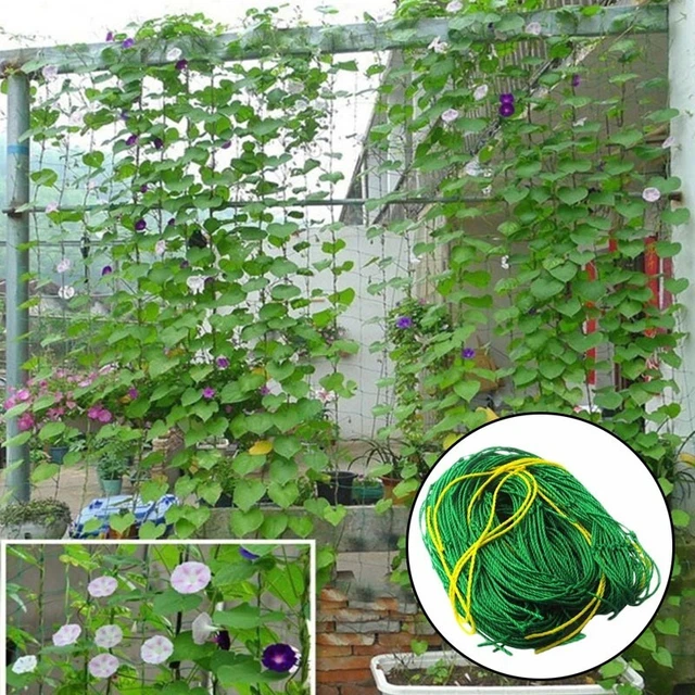Pots Pour Plantes Aquatiques - Lot De 5 - Panier En Maille Plastique Noir - 21,1 Cm - Pour Étang, Bassin, Jardin, Hydroponie