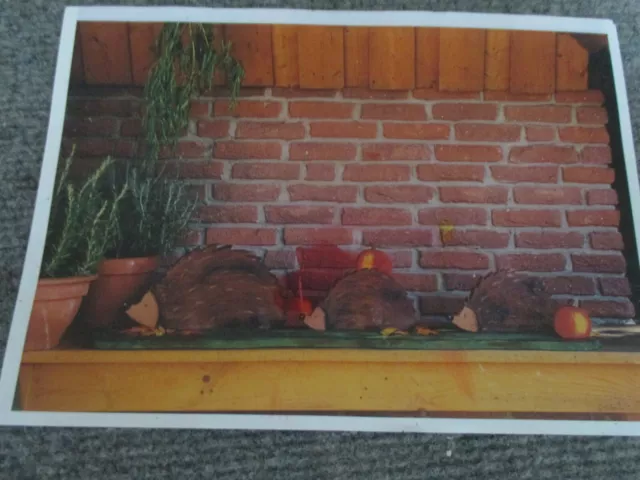 Bastel Anleitung Holz Igelparade