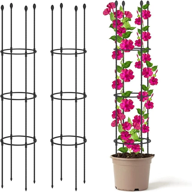 Infinitely Spliceable Plant Support Trellis Rose Trellis  Indoor
