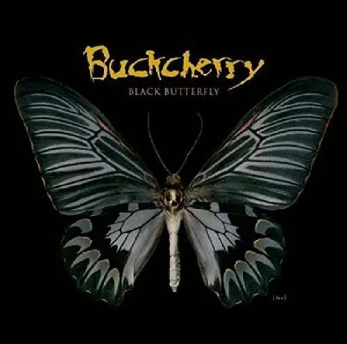 Black Butterfly -  CD Q2VG The Cheap Fast Free Post