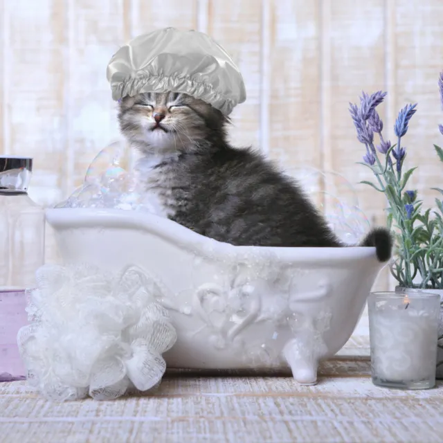 Gorra de baño para gatito portátil perro baño sombrero gato ducha sombrero impermeable mascota sombrero de ducha