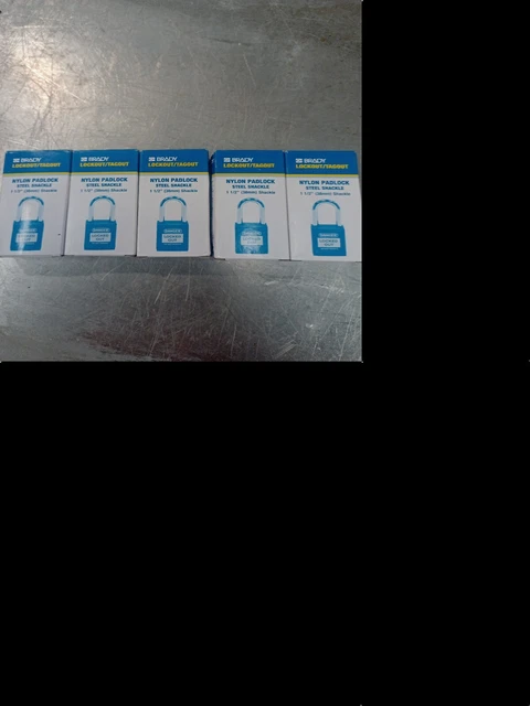 Confezione da 5 catene in acciaio lucchetto in nylon Brady Lockout/Tagout