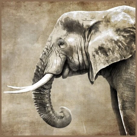 Carré simili cuir 44x44 cm éléphant kc0011