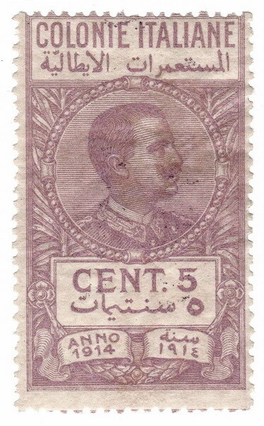 (I.B) Italy (Libya) Revenue : Duty Stamp 5c (1914)