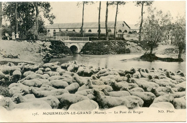 Postcard / Nancy Citadel Gate