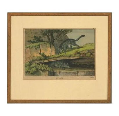 Framed 19th Century Engraving - Wild Cats