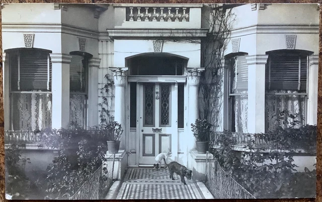Rppc View Of Dogs Outside No.21 Sandford Avenue Brighton Sussex December 23 1912