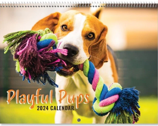 2024 PLAYFUL PUPS Current Wall Calendar 12" x 9" closed; 12 x 18" open