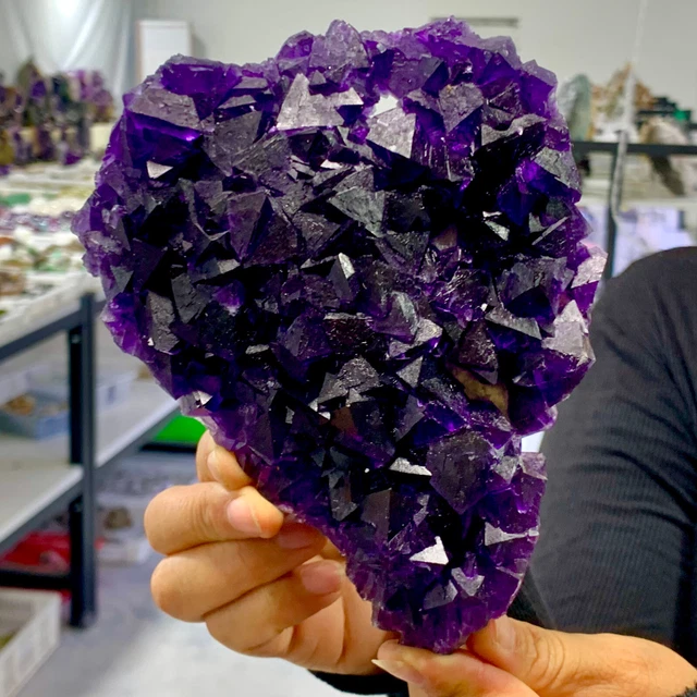1.39LB Natural  purple cubic fluorite cluster mineral samples