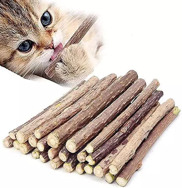 Catnip Sticks Organic Cat Chew Toys Natural Plant Matatabi Silvervine Chew Stick
