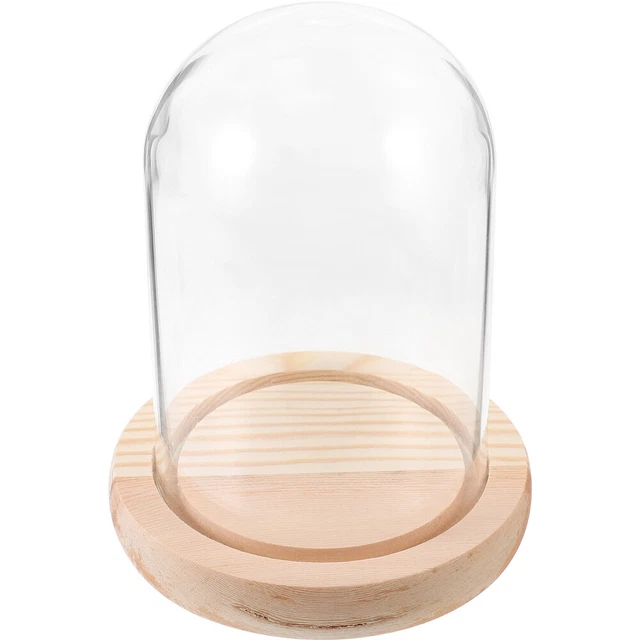 Artlass, campana in vetro dal diametro di 15 cm con vassoio in legno, Vetro, Clear, large