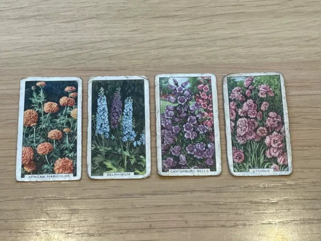 Gallaher cigarette cards c.1935 Garden Flowers part set of 32