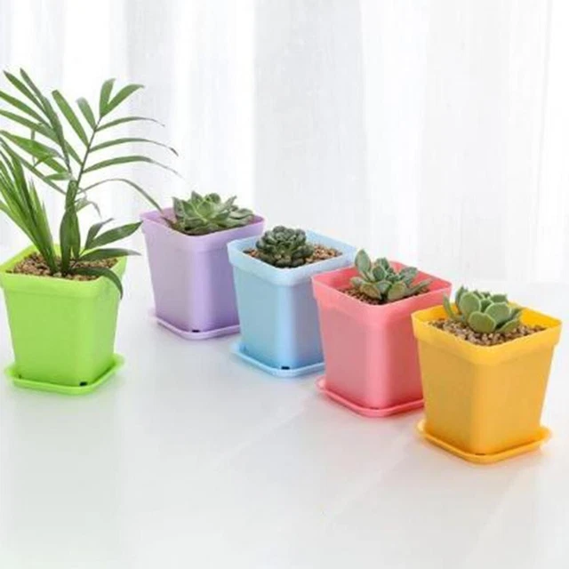 15 pièces mini pots de fleurs pot de plantes succulentes pots en plastique coul