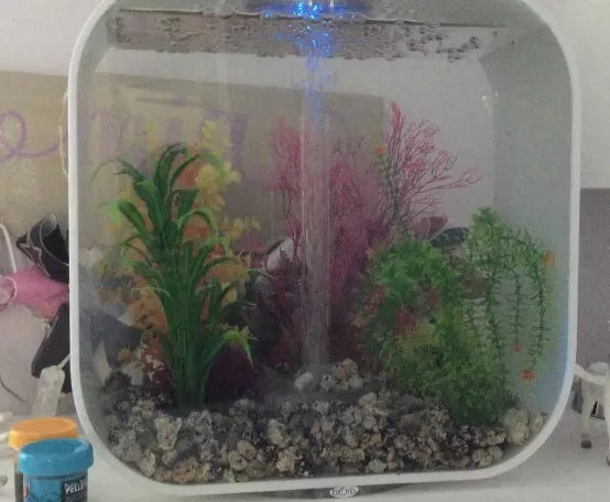 Biorb Life Aquarium S30 Ice White 30L 8 Gallon Reef One Aquarium With Extras