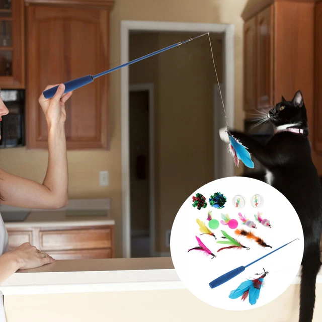 Cat Toys Indoor Cats Indoor Cat Playthings Cat Teaser Cat Door Toy Kitten