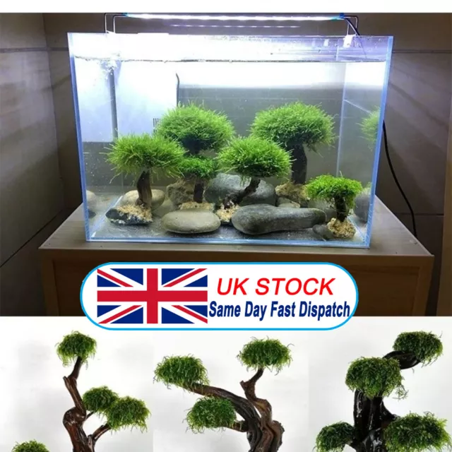 Multisize Sink Wood Root Trunk Tree Aquarium Fish Tank Plant Landscape Wood Tree