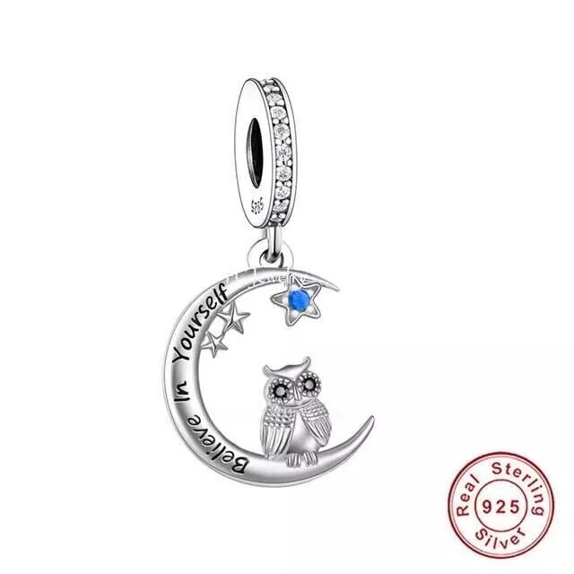 Genuine S925 Sterling Silver Owl Charm Believe in Yourself Charm For Bracelets