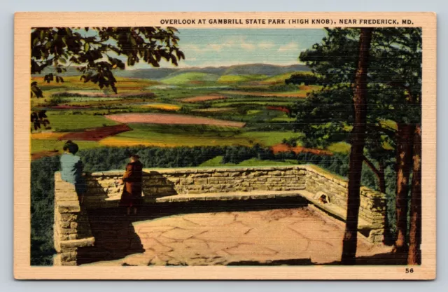 Near Frederick Maryland MD Overlook At Gambrill State Park VINTAGE Postcard