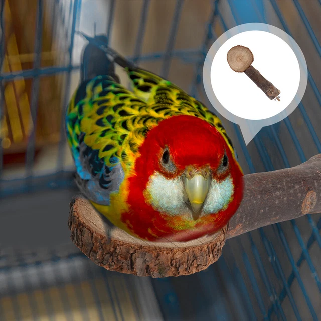1PC Papageienständer Vogel Papagei Spielzeug Vögel Spielen Spielzeug 2