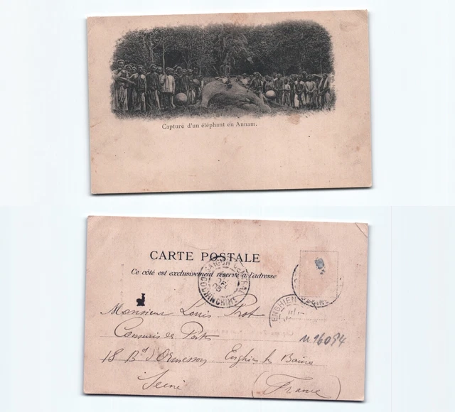 (n16094)   Elefantenjagd Annam 1903   Ansichtskarte Indochina (französisch)