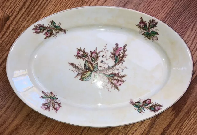 Antique English Ironstone Moss Rose Large Oval Platter 15”+