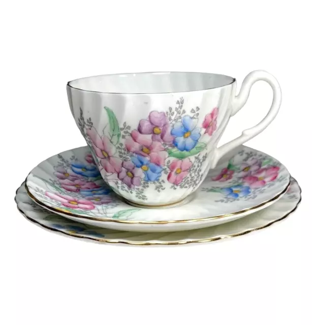 Foley Bone China Teacup Trio Cup Saucer Cake Plate Hand Painted Vintage 2053A