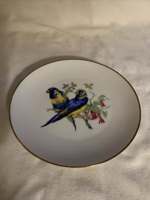 Vintage Bareuther Waldsassen Bavaria Germany Bird Plate Parrots #213