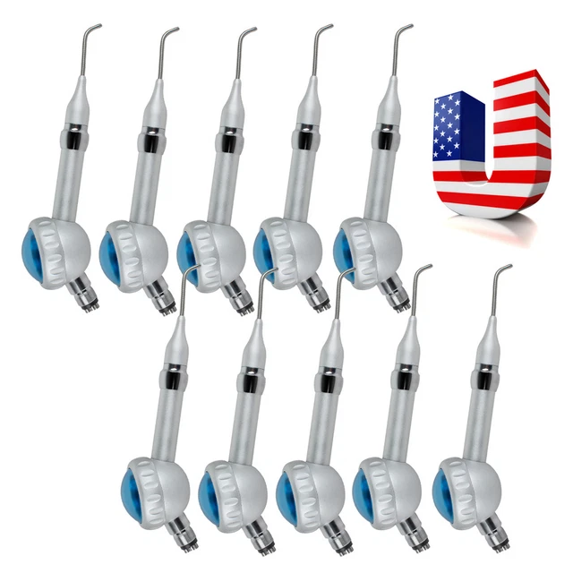 10pcs Denshine Dental Air Teeth Polishing Polisher Set Handpiece Hygiene  4Hole
